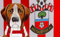 Southampton News Hound